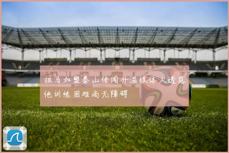 祖马加盟泰山传闻升温媒体人透露他训练困难尚无障碍