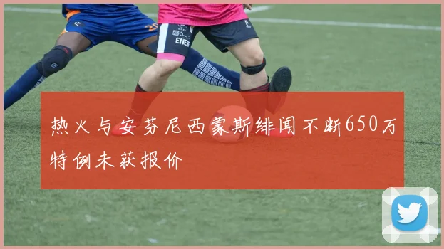热火与安芬尼西蒙斯绯闻不断650万特例未获报价