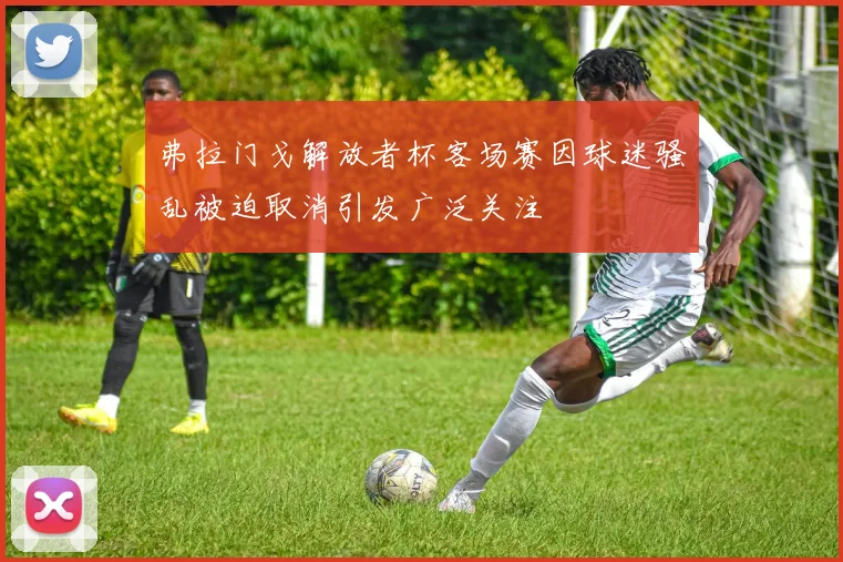 弗拉门戈解放者杯客场赛因球迷骚乱被迫取消引发广泛关注