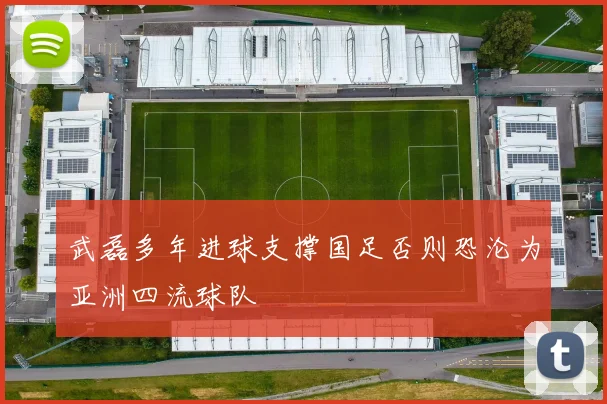 武磊多年进球支撑国足否则恐沦为亚洲四流球队