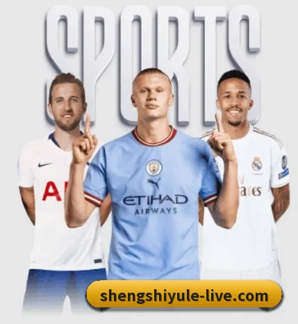 盛世娱乐的故事(ShengShi)
